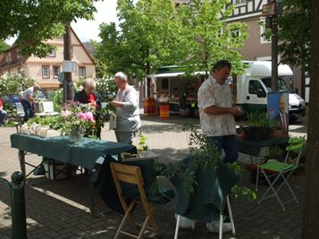 Lebendige Ortsmitte mit dem Wochenmarkt