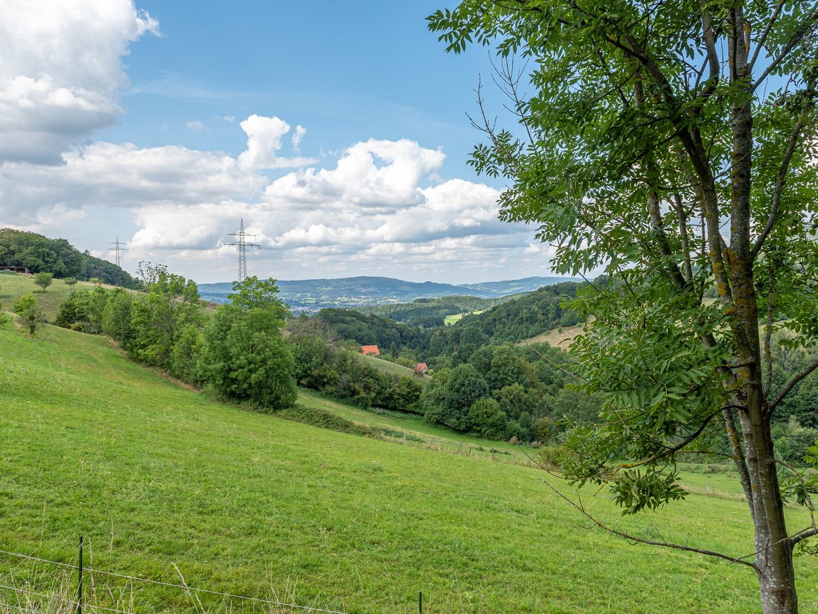 Landschaftsaufnahme bei Zotzenbach