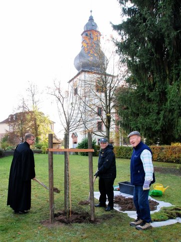 Rimbach Kirchpark: Pflanzen eines Apfelbaumes am 3. November 2016 Im Rimbacher Kirchpark wird ein Apfelbaum gepflanzt - zum 500-jährigen Reformationsjubiläum am 31. Oktober 2017 und in Anlehnung an Martin Luthers Spruch:  „Wenn ich wüsste, dass morgen die Welt unterginge, würde ich heute noch ein Apfelbäumchen pflanzen“.  Personen v. l.: Pfarrer Dr. Uwe Buß, Kirchenvorsteher Paul Kötter, Rolf Pflästerer