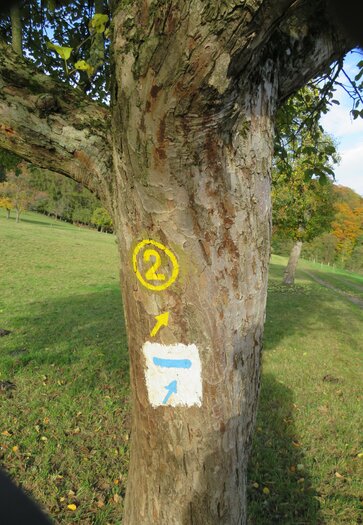 Wanderwegmarkierungen an einem Baum