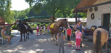 Tierisch viel Spaß mit der Tierschutzinitiative und dem TRaB eV