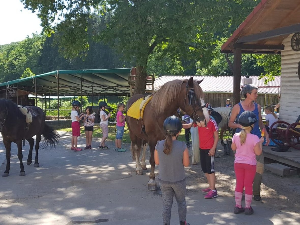 Tierisch viel Spaß mit der Tierschutzinitiative und dem TRaB eV
