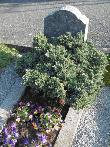 Grab des Kindes Elfriede Rettig auf dem Friedhof in Mitlechtern (Foto: Paul Kötter)