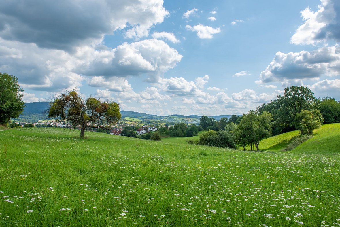 Blick auf Rimbach