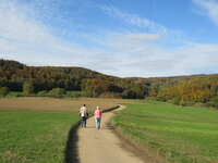 Wanderweg bei Lauten-Weschnitz