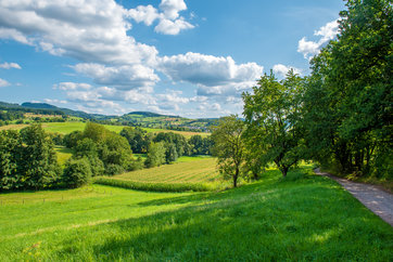 Landschaftsbild bei Rimbach