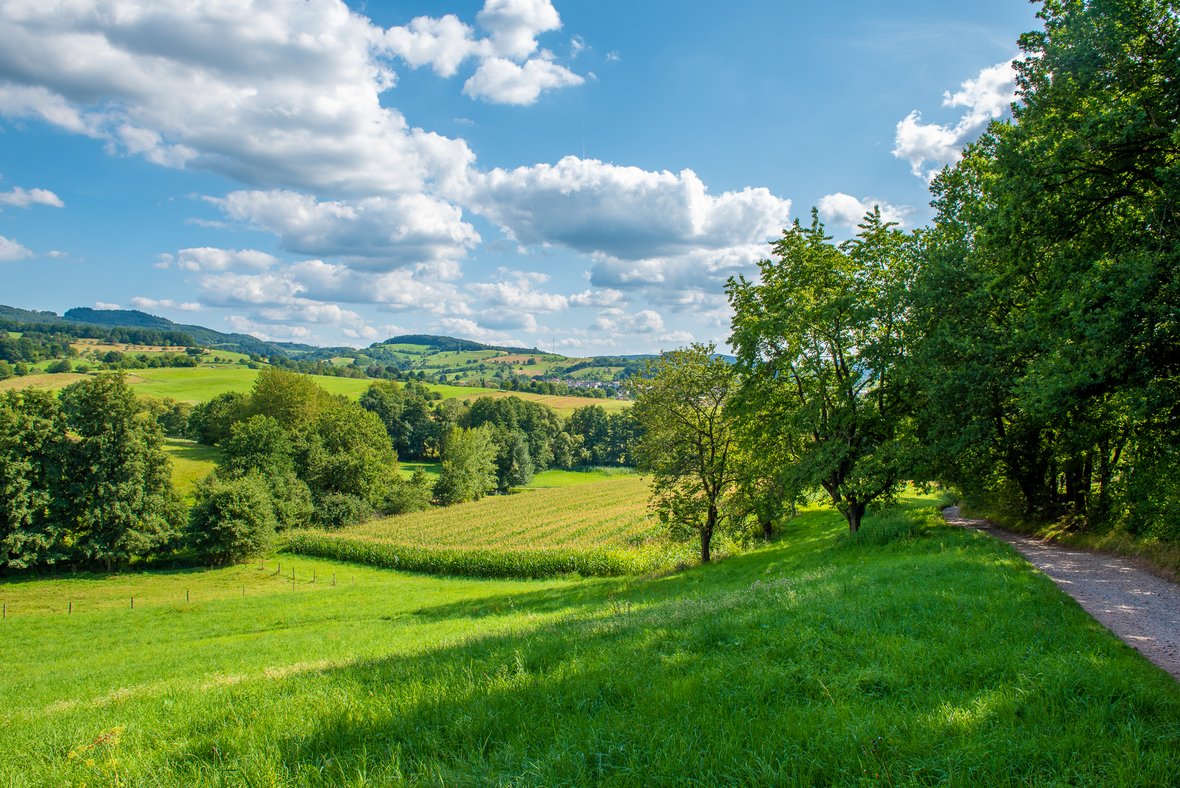 Landschaftsbild bei Rimbach