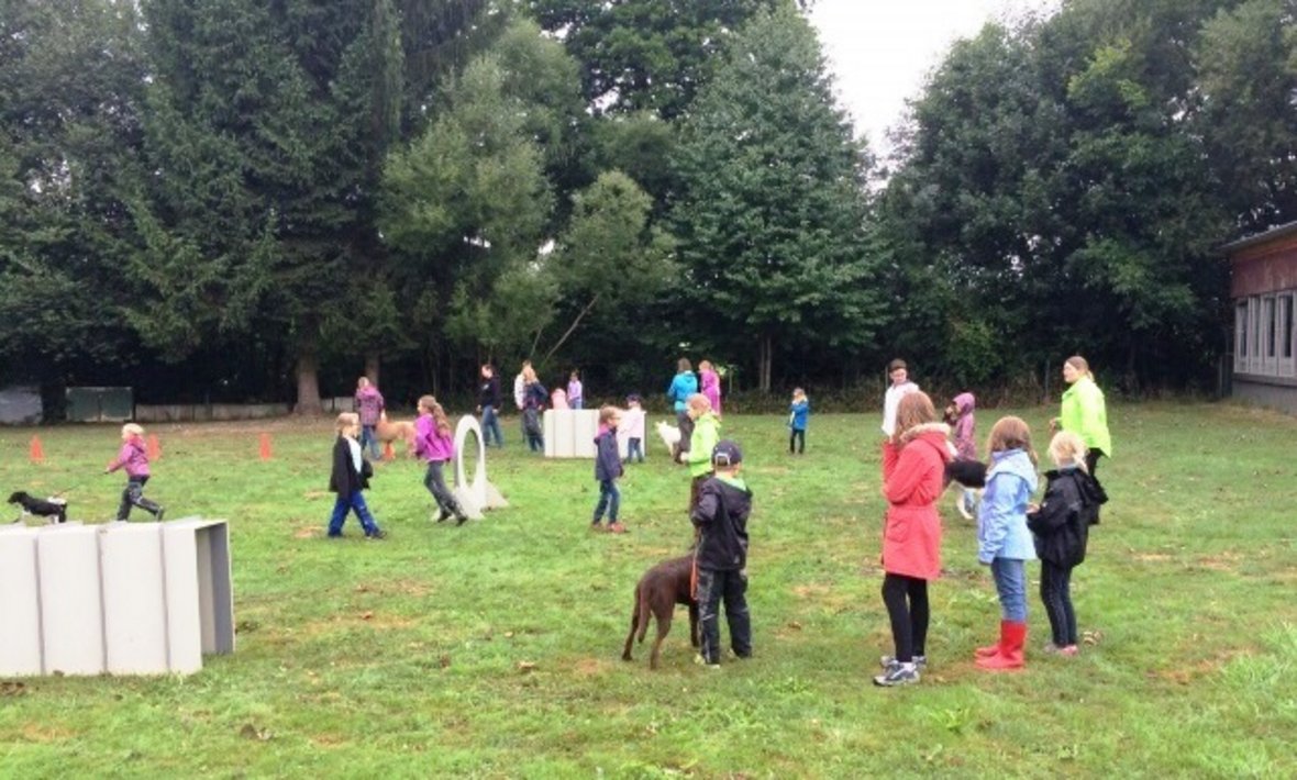 Spiel und Spaß bei den Hundefreunden