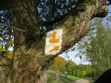 Wanderwegmarkierung an einem Baum